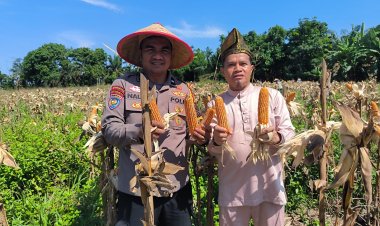 Pemerintah Kampung Kerinci Kiri Apresiasi Peran Bhabinkamtibmas Polsek Kerinci Kanan dalam Mendampingi Program Ketahanan Pangan