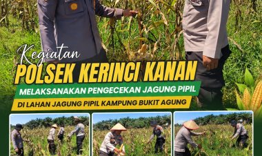 Kapolsek Kerinci Kanan Cek Jagung Pipil di Kampung Bukit Agung, Dukung Ketahanan Pangan