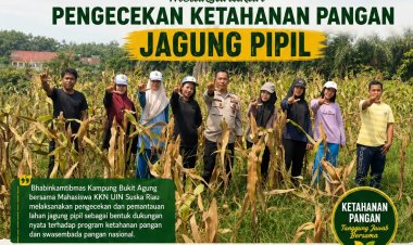 Dukung Swasembada Pangan, Mahasiswa KKN UIN Suska Riau dan Bhabinkamtibmas Cek Lahan Jagung di Bukit Agung