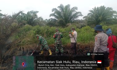 Gambut Kering Membara, Tim Gabungan Berjibaku Padamkan 3 Hektare Lahan Sawit di Buluh Cina
