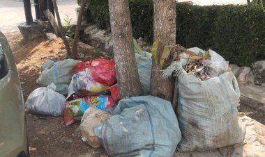 Dari TPAS ke Depan Rumah, Krisis Sampah Mulai Mengusik Warga Kota Metro