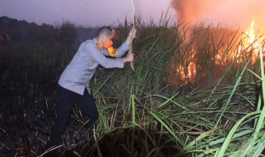 ‎Titik Api Di Kawasan Way Kambas, Kapolres Lamtim Terjun Padamkan  ‎