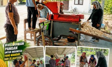 Bhabinkamtibmas Bukit Agung Gotong Royong Pipil Jagung Bersama Kelompok Tani, Dukung Ketahanan Pangan