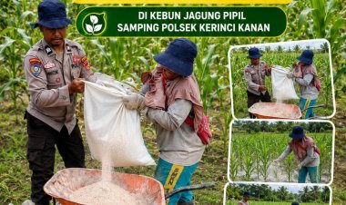 Dukung Ketahanan Pangan, Polsek Kerinci Kanan Persiapkan Lahan Jagung Pipil dengan Dolomit