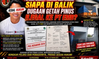 PKS Sudah Berakhir, Pengiriman Masih Berjalan. Siapa Dibalik Dugaan Getah Pinus Ilegal ke PT. EMB?