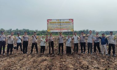 Kapolsek Siak Hulu Pimpin Penanaman Jagung Pipil Kuartal III Bersama Kelompok Tani Mandiri Desa Baru