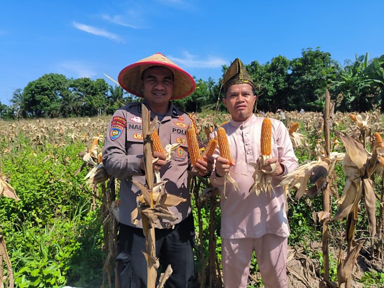 Pemerintah Kampung Kerinci Kiri Apresiasi Peran Bhabinkamtibmas Polsek Kerinci Kanan dalam Mendampingi Program Ketahanan Pangan