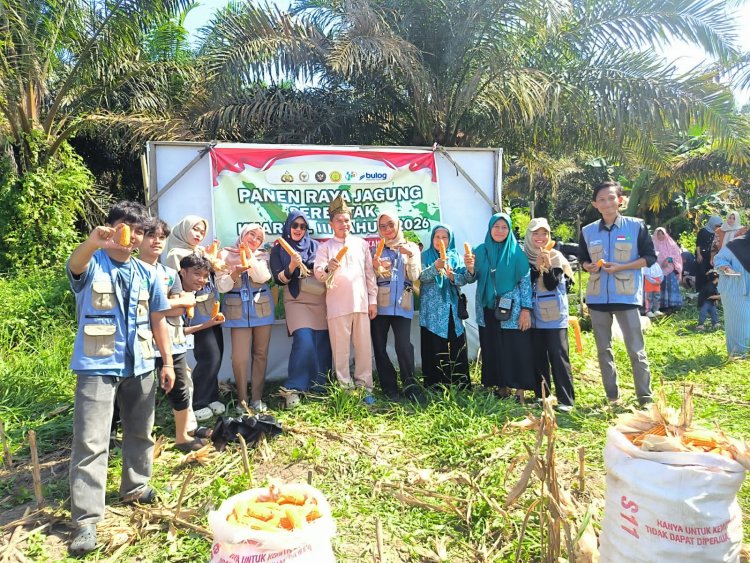 Mahasiswa KKN UIN Suska Riau Antusias Ikuti Panen Jagung Pipil, Dukung Ketahanan Pangan di Kampung Kerinci Kiri