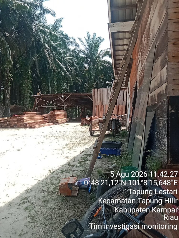 Polda Riau Jangan "Tebang Pilih", Sawmil di Desa Tapung Lestari Masih Bebas Beraktivitas