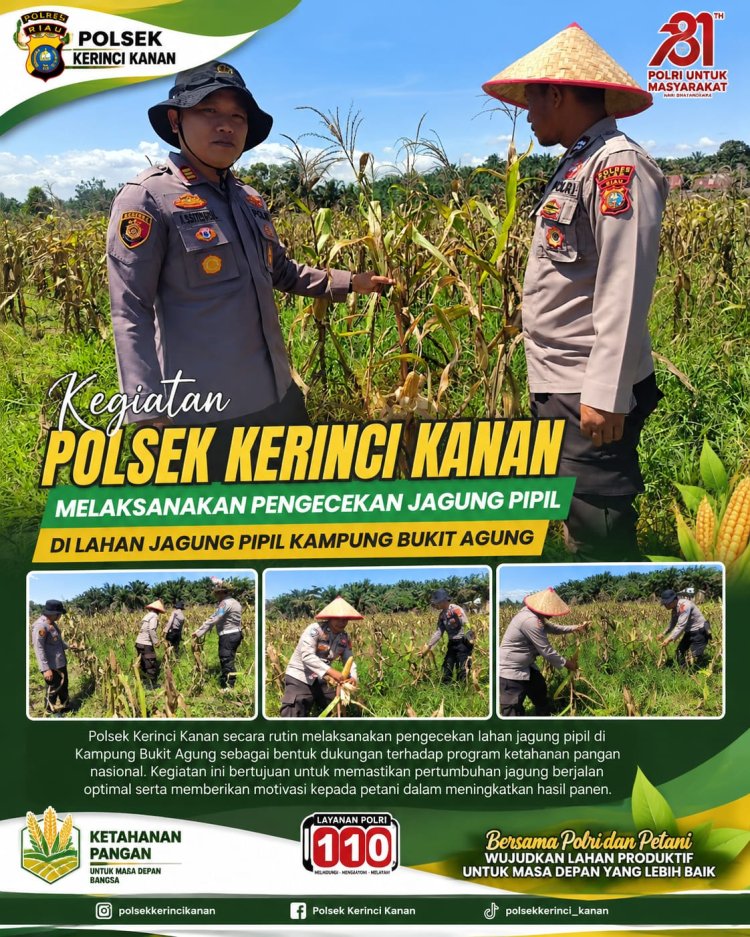 Kapolsek Kerinci Kanan Cek Jagung Pipil di Kampung Bukit Agung, Dukung Ketahanan Pangan