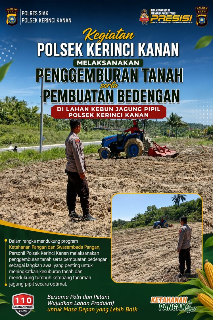 Progres Tanam Jagung Pipil Kuartal III Digenjot, Penggemburan Tanah dan Pembuatan Bedeng Dilakukan