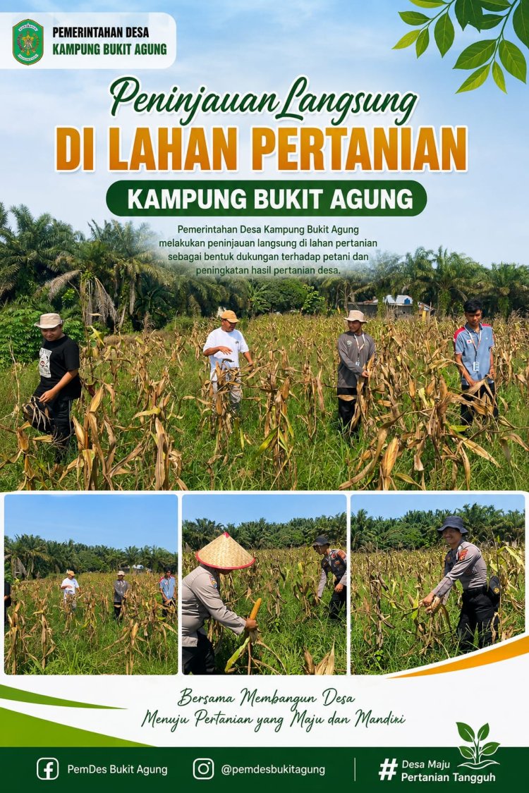 Pemerintah Kampung Bukit Agung Komitmen Dukung Ketahanan Pangan Jagung Pipil