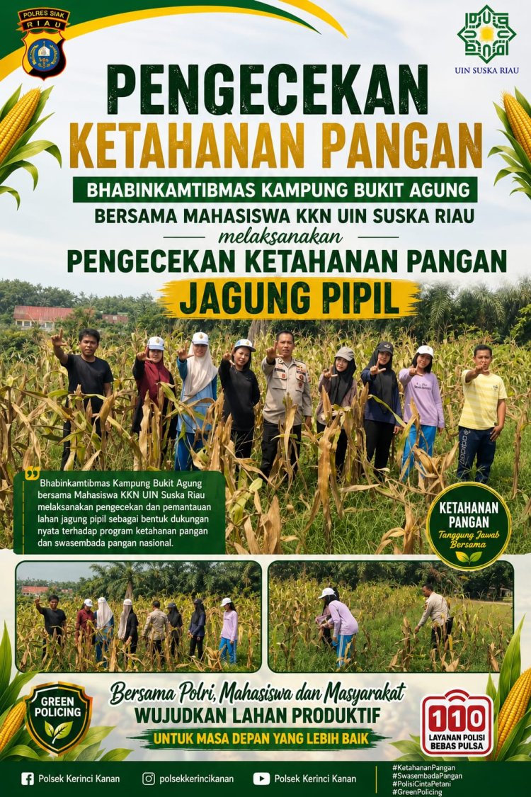 Dukung Swasembada Pangan, Mahasiswa KKN UIN Suska Riau dan Bhabinkamtibmas Cek Lahan Jagung di Bukit Agung