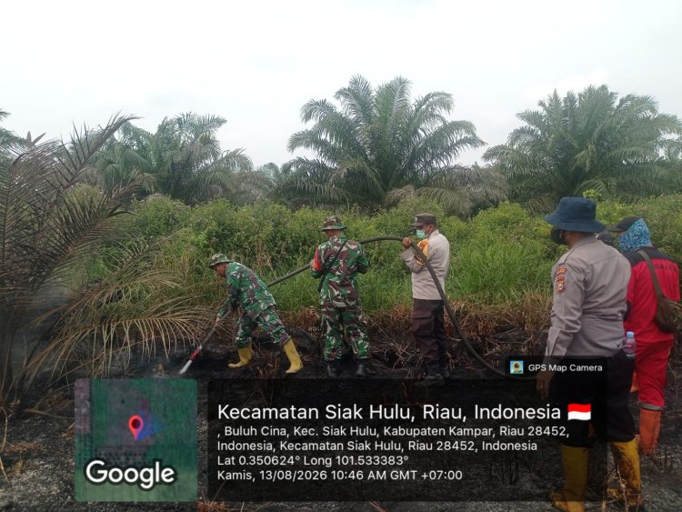 Gambut Kering Membara, Tim Gabungan Berjibaku Padamkan 3 Hektare Lahan Sawit di Buluh Cina