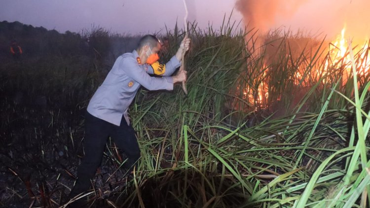 ‎Titik Api Di Kawasan Way Kambas, Kapolres Lamtim Terjun Padamkan  ‎
