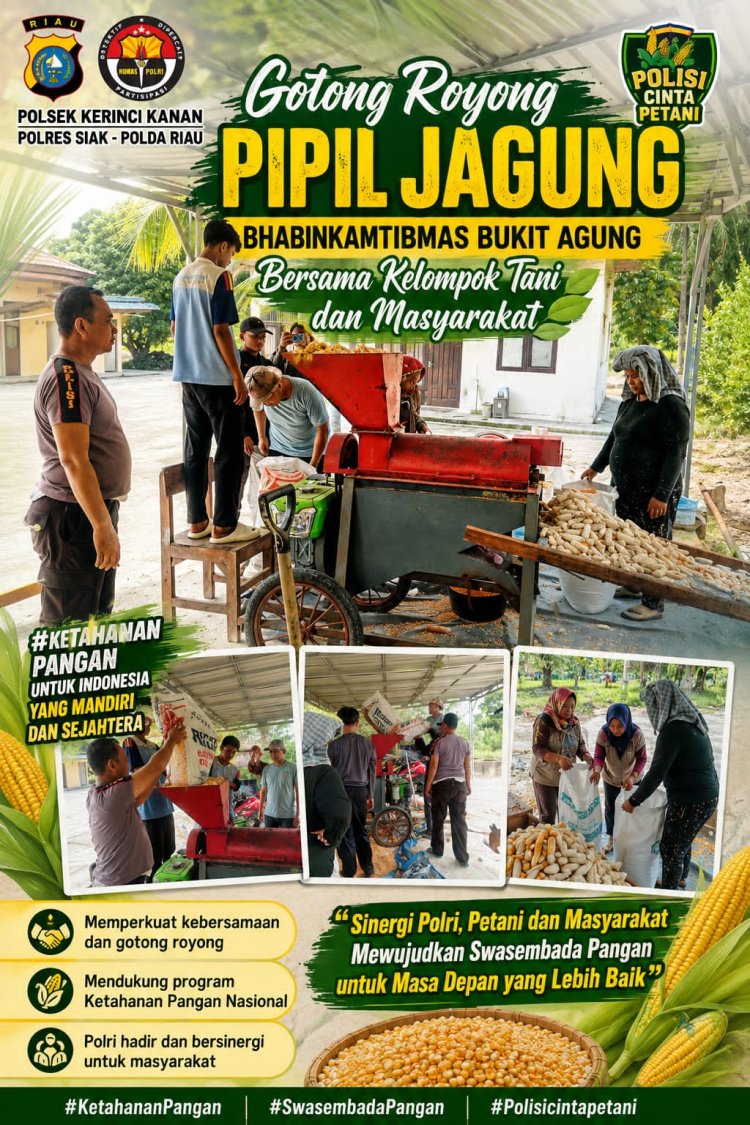 Bhabinkamtibmas Bukit Agung Gotong Royong Pipil Jagung Bersama Kelompok Tani, Dukung Ketahanan Pangan