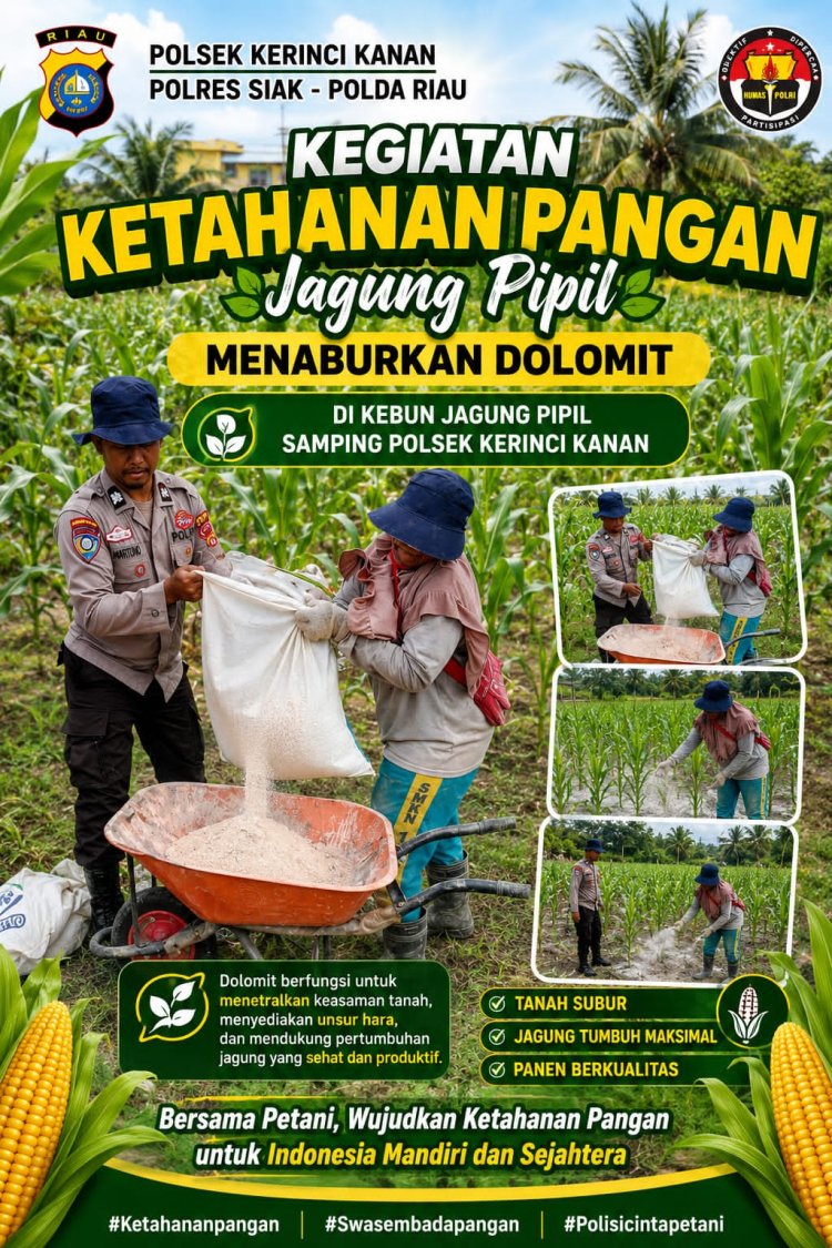 Dukung Ketahanan Pangan, Polsek Kerinci Kanan Persiapkan Lahan Jagung Pipil dengan Dolomit