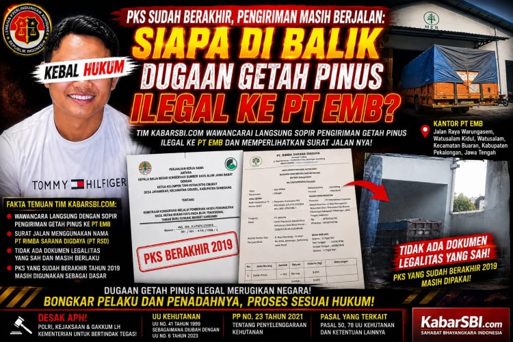 PKS Sudah Berakhir, Pengiriman Masih Berjalan. Siapa Dibalik Dugaan Getah Pinus Ilegal ke PT. EMB?