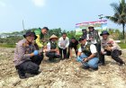 PPL Kerinci Kanan Apresiasi Polsek, Dukung Sukseskan Asta Cita Presiden Lewat Penanaman Jagung Pipil Kuartal III 2026