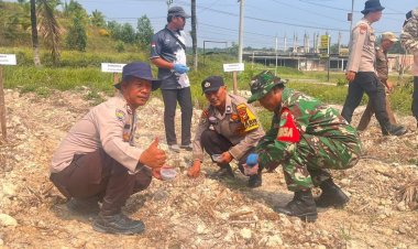 Sinergi TNI-Polri, Babinsa dan Bhabinkamtibmas Kompak Tanam Jagung Pipil Kuartal III 2026 di Kerinci Kanan