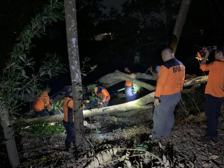 Tindaklanjuti Laporan Warga, Pemkot Metro Evakuasi Pohon Tumbang dan Pangkas Pohon Lapuk di Tejo Agung